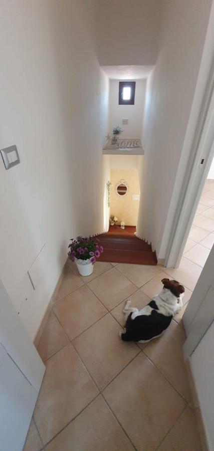 B&B Villa Orchidea Olbia Buitenkant foto